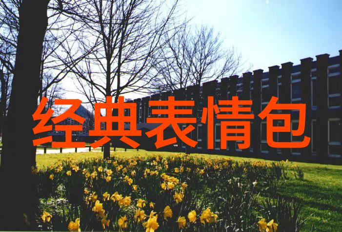 感恩节世界上唯一一个让人把烤火鸡当成圣物的节日