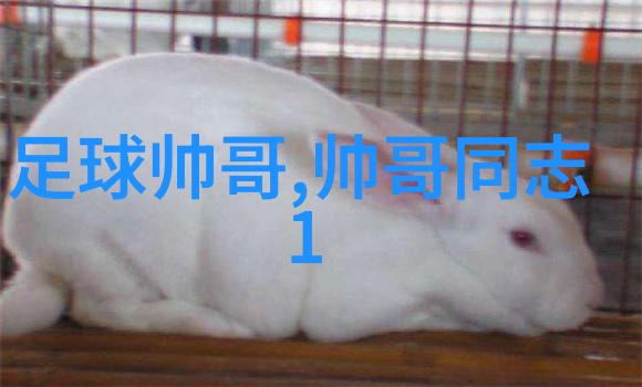 萌娃图片大全可爱-超级萌娃不可抗拒的可爱之源
