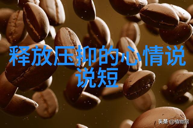 恐怖影片精选10秒让你心跳加速的惊悚体验