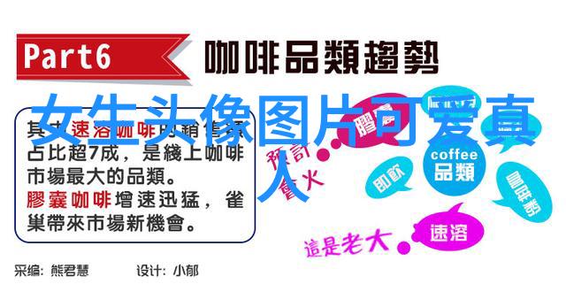 体育明星闪耀的赛场之星