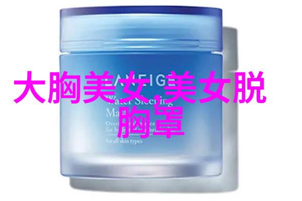 冬季节日盛宴12月的庆祝与传统