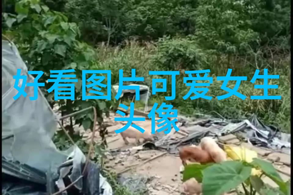 双面文字亲昵表达与深层隐喻的艺术探索