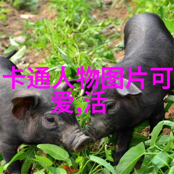 从战友到伴侣11月11日如何演变成全球恋人纪念日