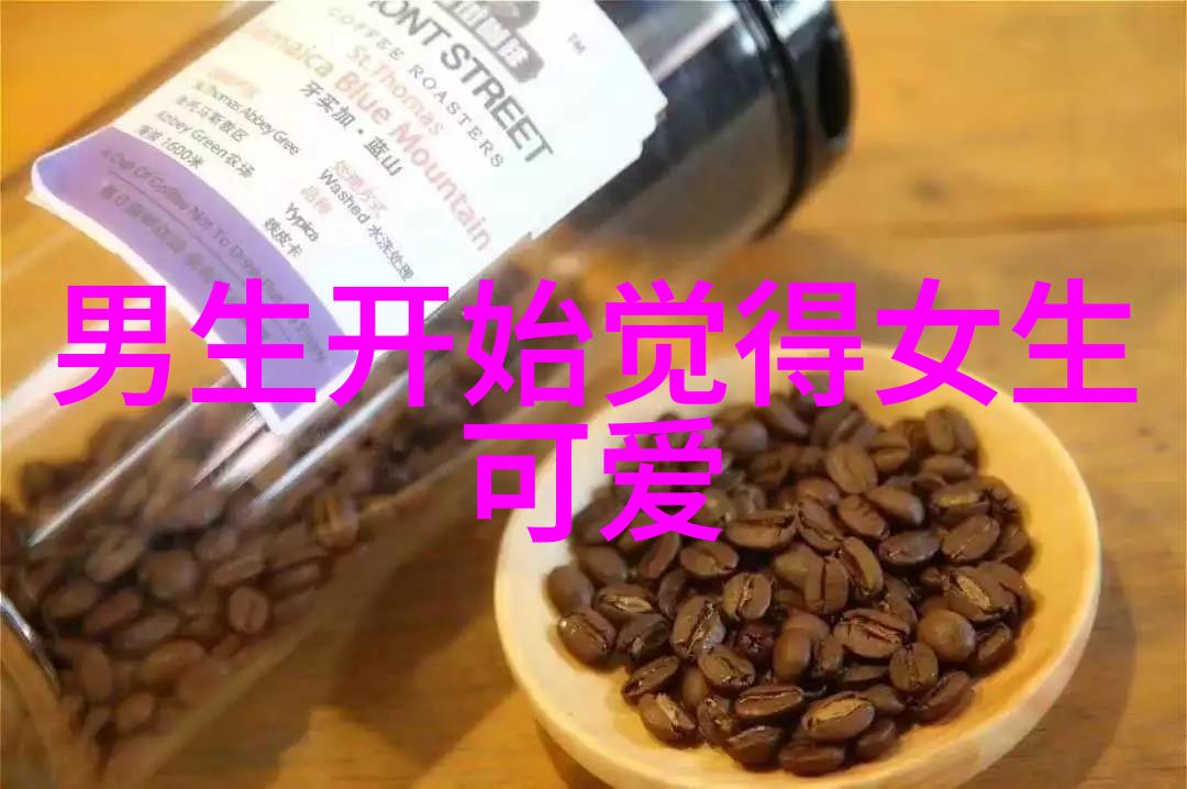 美女比基尼-夏日沙滩上的光彩探索美女比基尼文化