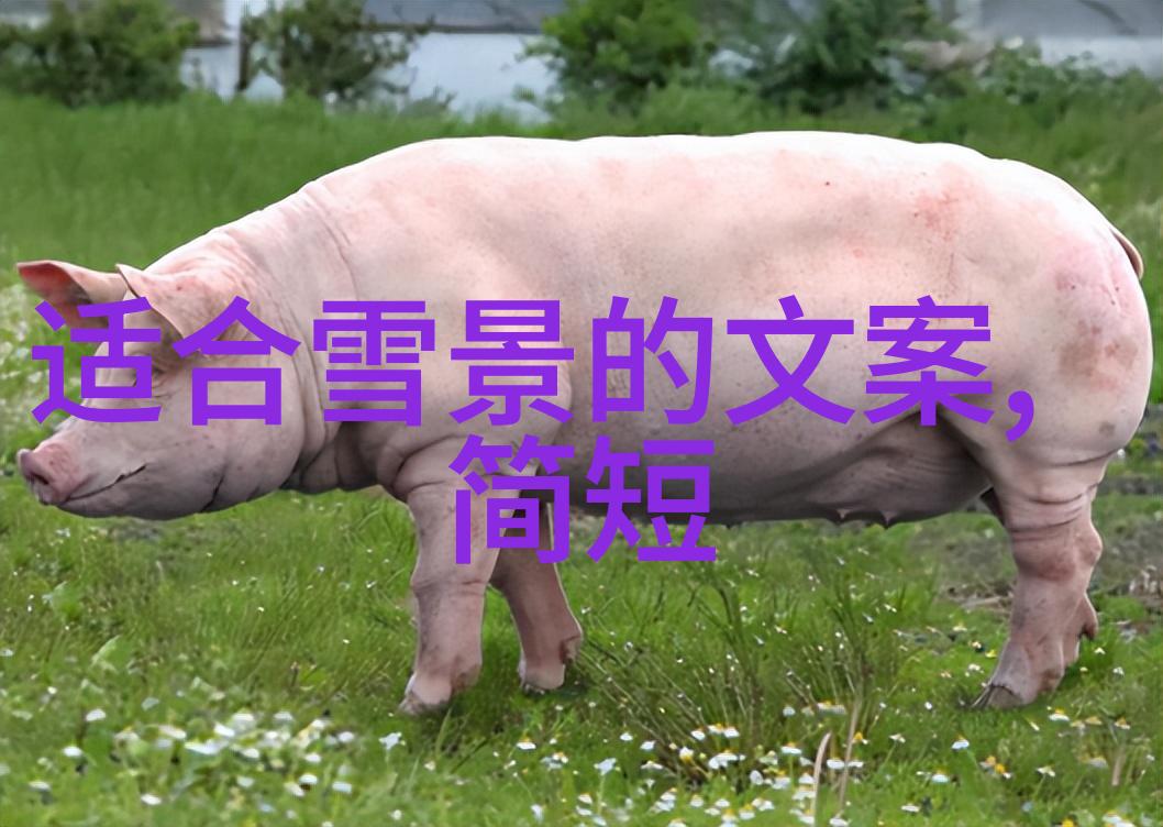 京津冀一卡通-融合发展下的交通便利京津冀地区一卡通时代的到来