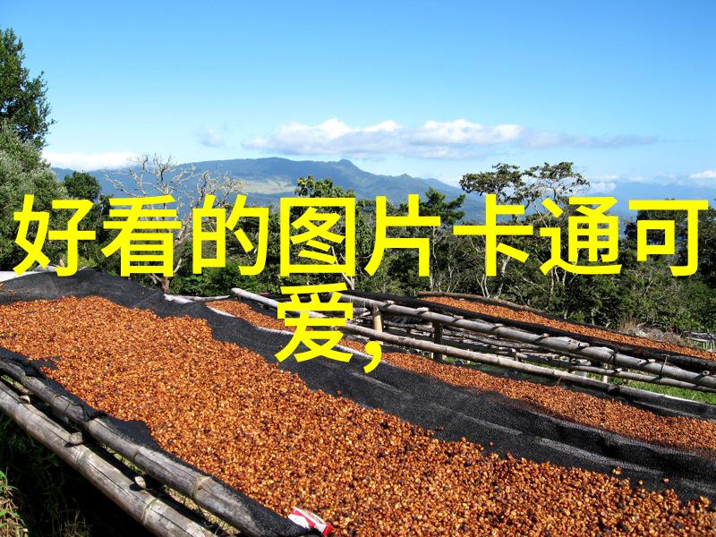 冬日暖阳十二月的节日礼赞