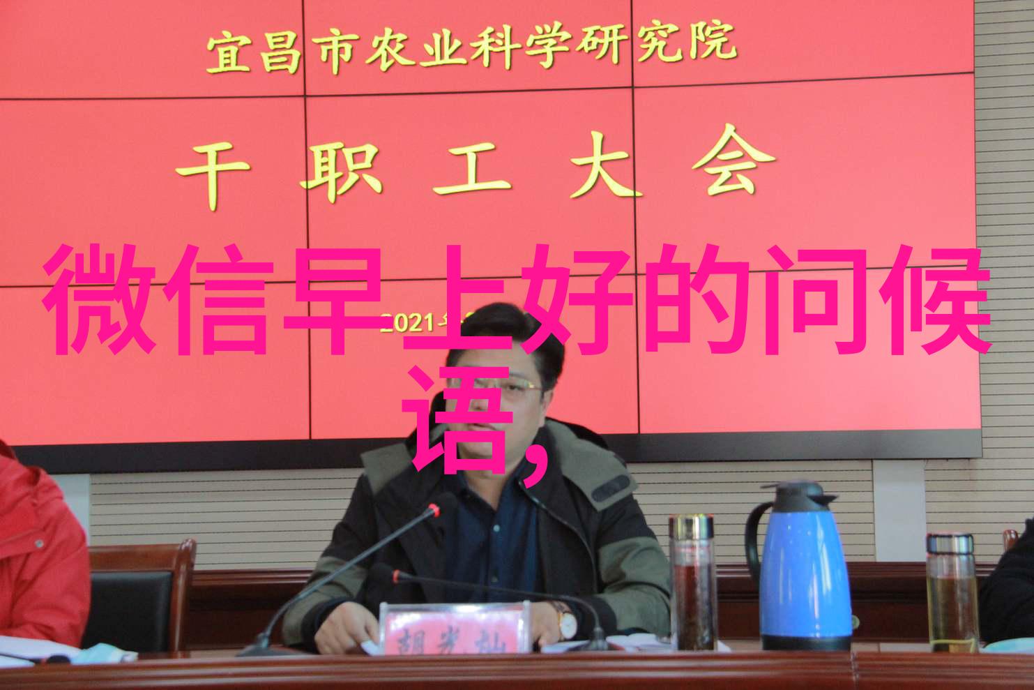 帅哥你假发掉了-落袱的真相探秘男人世界中的假发生活
