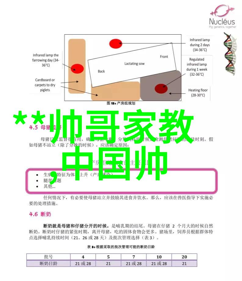 晨曦破晓从沉睡到起航