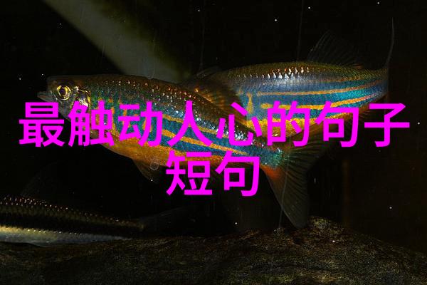 他们的辛劳我们该如何感谢呢