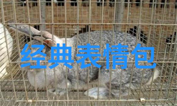 夏日时尚-沙滩美景下的比基尼写真艺术