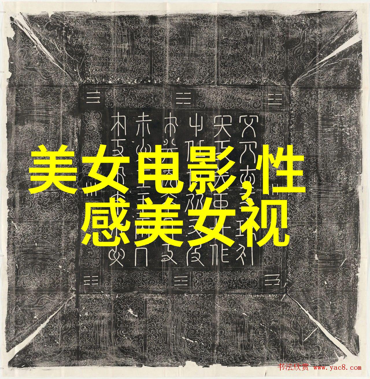 千金女贼之谜50部经典电视剧的秘密更新时间与播出台号