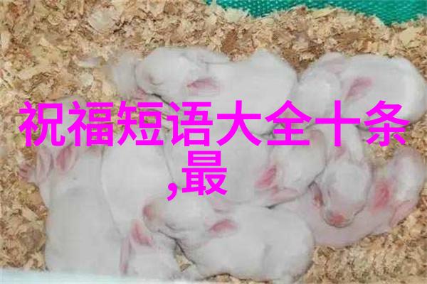 可爱图库精选好看图片中的小可爱瞬间