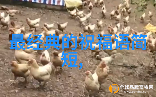 晨曦启示学术探索的每日心语