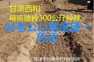 被他弄到走不了路的故事爱情中的无力感和幽默感融合