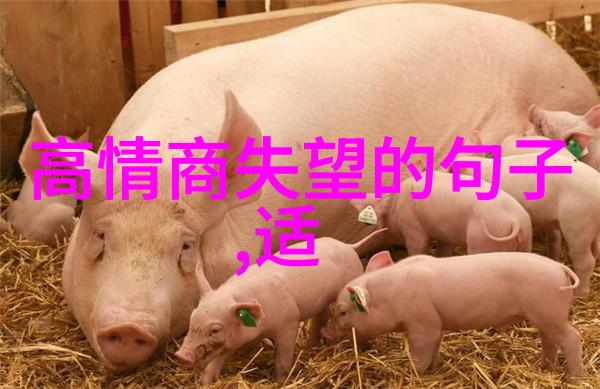 情绪画卷心境的诗篇