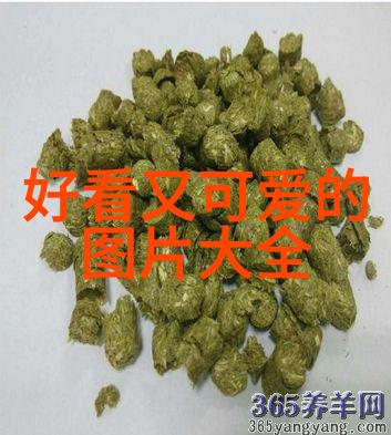 微信交友同城相伴探索轻松的社交世界