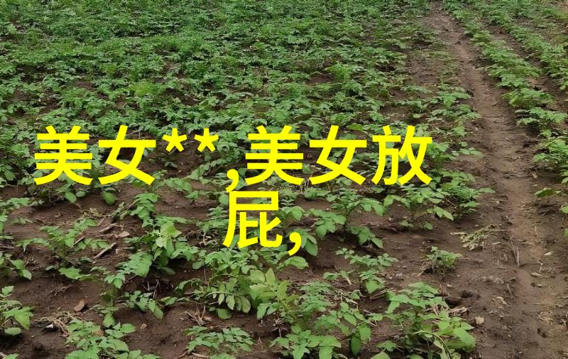慕斯中的天鹅颈文学与美食的交响