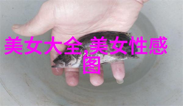 帅哥省份大比拼揭秘哪个地方最有颜值