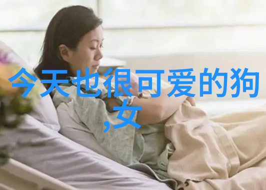 春节中国传统节日的象征意义与庆祝活动