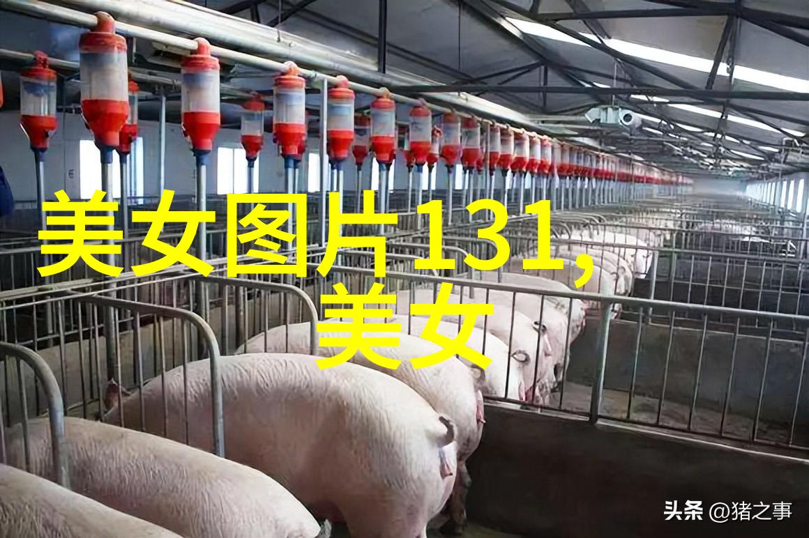念念不想忘 墨宝非宝我是怎么从墨宝中找回真实自我的