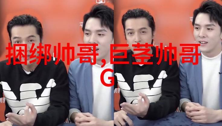 关于421pdf的相关讨论中网上流传着两种原因说是为什么向华强会害怕刘銮雄这里我们来直接陈述这两个所