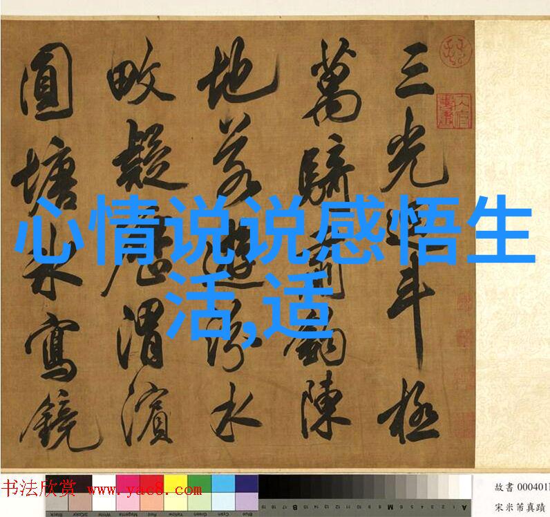 这个明星只想学习-静心追梦一个只为知识而存在的明星故事
