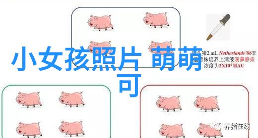 探秘社交界限微信群聊的隐秘寻觅之旅