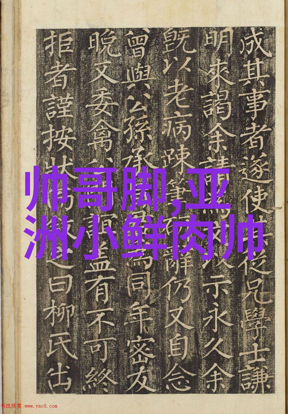 武林风云武打明星的传奇