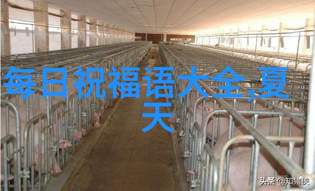 东风夜放花千树更吹落星如雨我在梦回旧园时的无限遐想