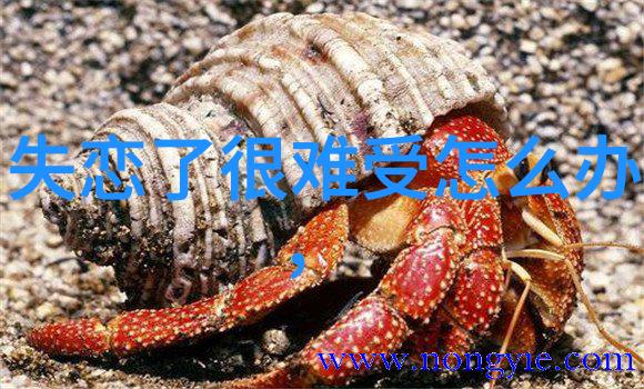 走进梦想工厂看似简单却隐藏深意的卡通呆萌制作过程