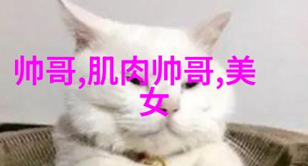 幻彩图腾动漫头像的梦境篇章