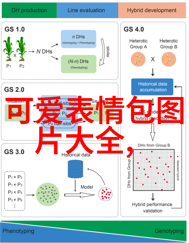 少数民族的节日有哪些 - 多彩民族风光探索世界各地的传统庆典