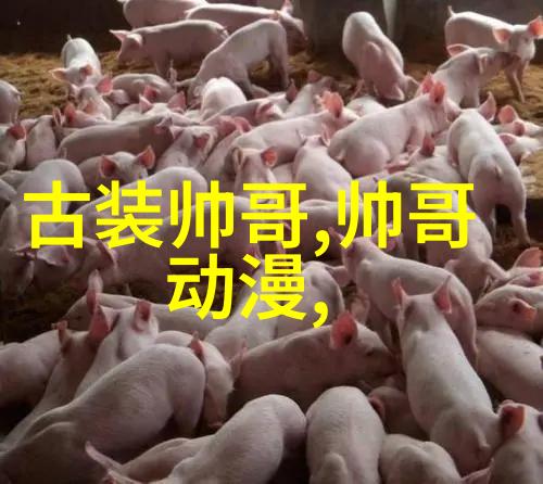 冬日轻语下雪的逗比句子与温暖时光的交织