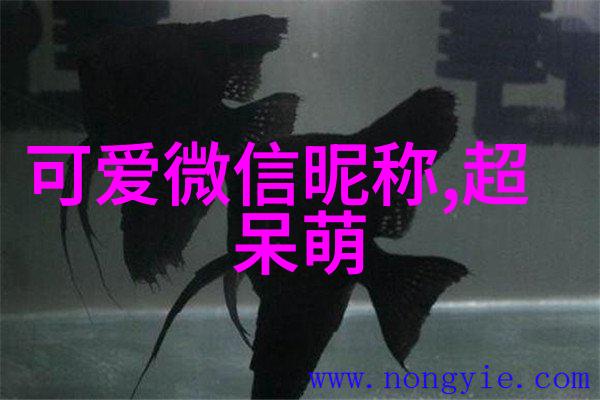 帅哥明星风采时尚男星的魅力展现