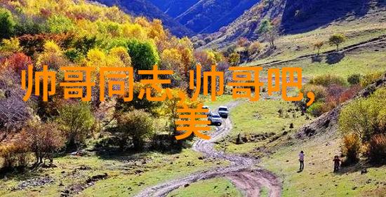 朝阳热心群众的最新地址公布服务社区传递正能量