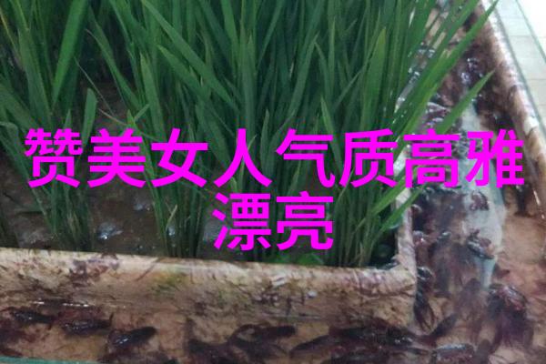 恐怖夜晚的十大挑战灵异之旅