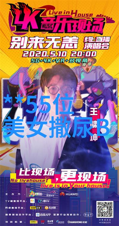 影视传承中文字幕的艺术与实用