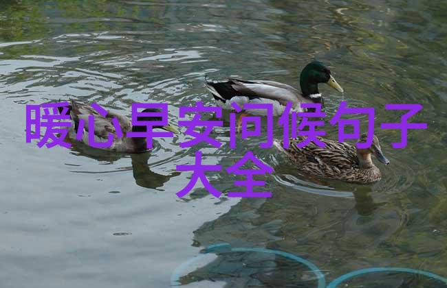 超级兔子魔法世界的新英雄