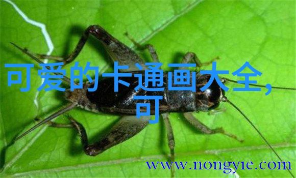 精卫填海的恐怖真相她究竟为何在无尽的沙滩上孤独战斗