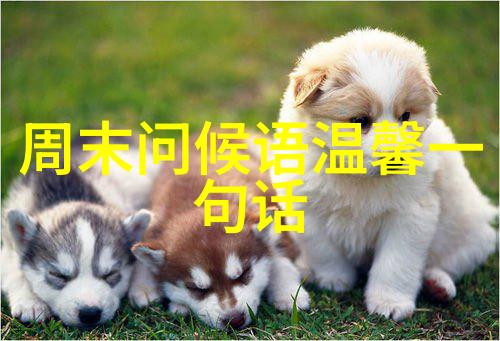 霸气说说集结号让人疯狂点赞的爆笑趣话