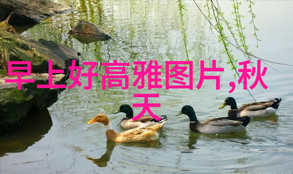 跨越千里的情感纽带追寻但愿人长久千里共婵娟的诗意背后