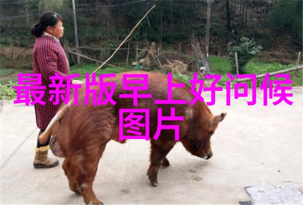 曾经那么喜欢你的我难道不该感同身受吗伤感说说带图片男生版释然于心