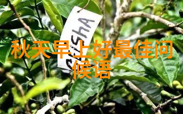 张芯宁新剧垂钓者角色杀青 内心戏精彩引期待
