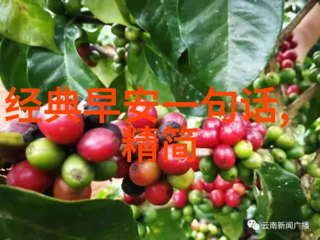 超级萌系图片集带你进入卡通动物的快乐岛