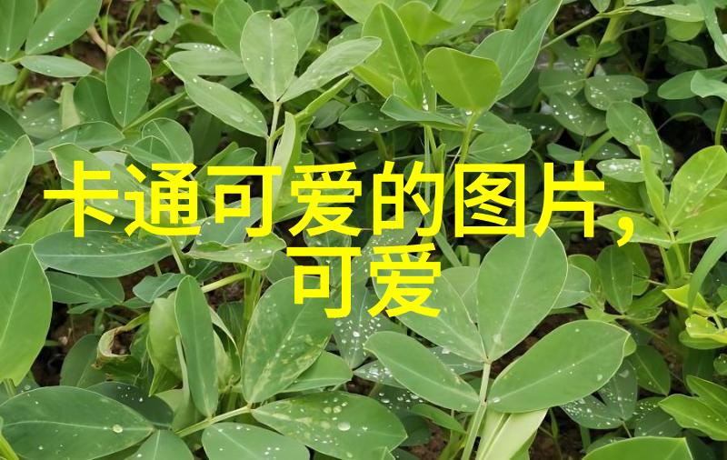 心头难安一场特别烦恼的日子