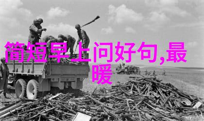 探秘美女网站揭秘网红界的虚拟天堂与真实魅力