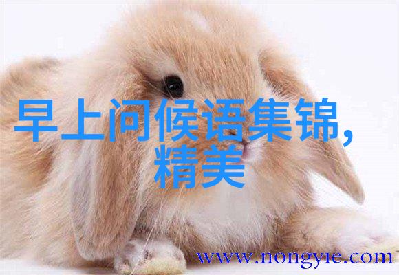 早晨好友问候语每日新鲜的早晨问候语言