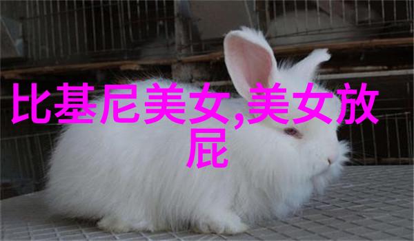 古韵雅致有文采典故的女孩名字精选