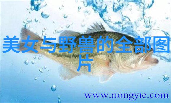超可爱的小女孩她的一天
