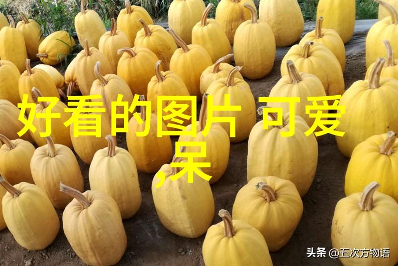 植物大战僵尸全明星 - 僵尸之乱植物英雄的觉醒